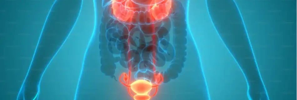 Can Hemorrhoids Cause Constipation: Complete Guide to Causes, Relief, and Prevention