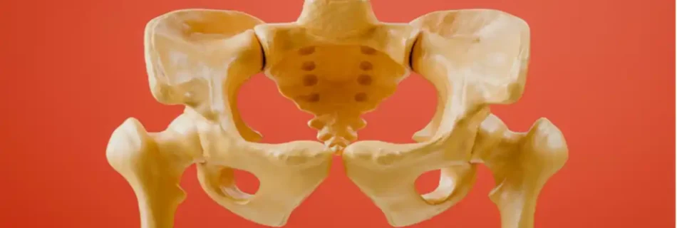 Hip Dysplasia in Adults: Causes, Symptoms, Diagnosis, and Treatment Options