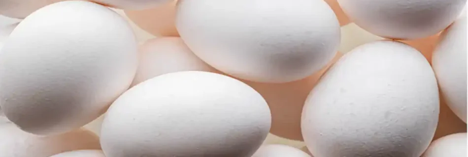 Egg Freezing Cost: A Complete Guide to Understanding Expenses and Value