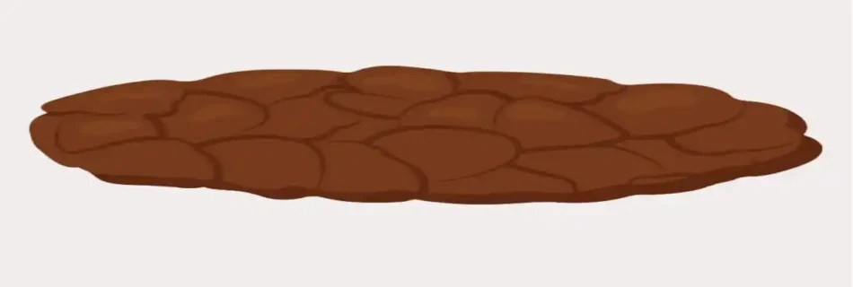 Flat Poop: 9 Common Causes, Symptoms, and When to Seek Medical Care